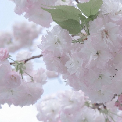 Furry插画构图技巧兽圈社群